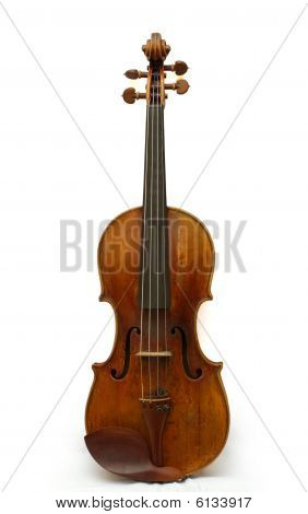 Violin