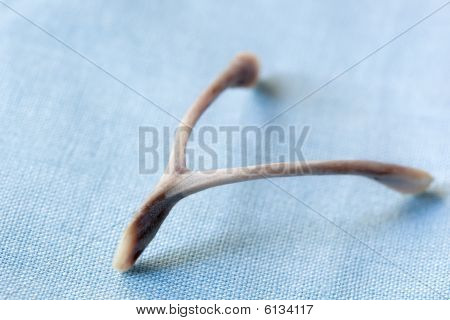 Querlenker