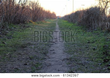 The long beautiful road