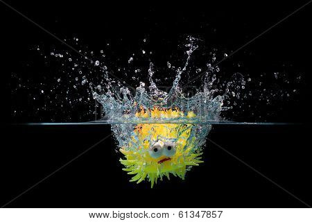 Toy Fish Splash