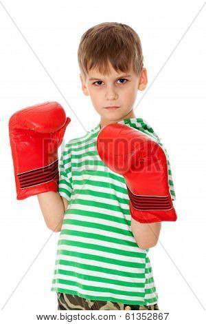 Angry Boy Pugilist