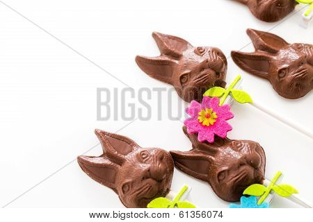 Chocolate Bunnies