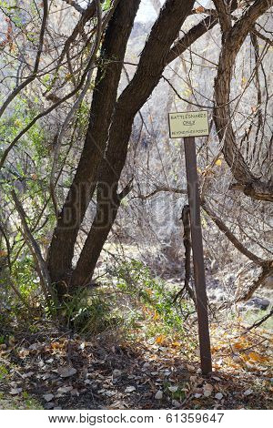 Rattlesnakes Warning