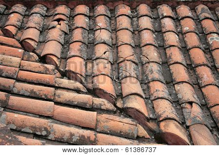 Slate Tiles on a Roof