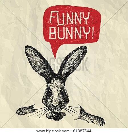 Funny Bunny - Happy Easter Card