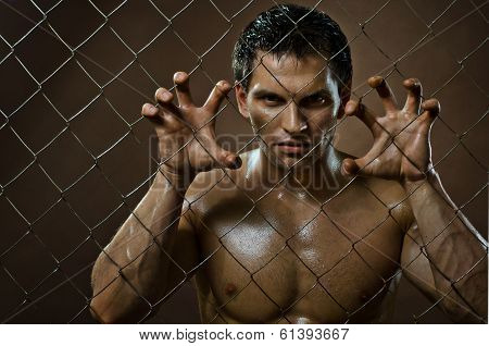 Felon Man
