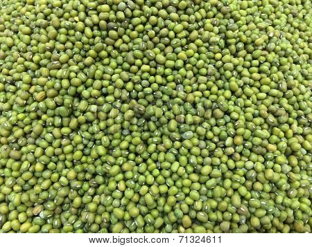 Green Bean