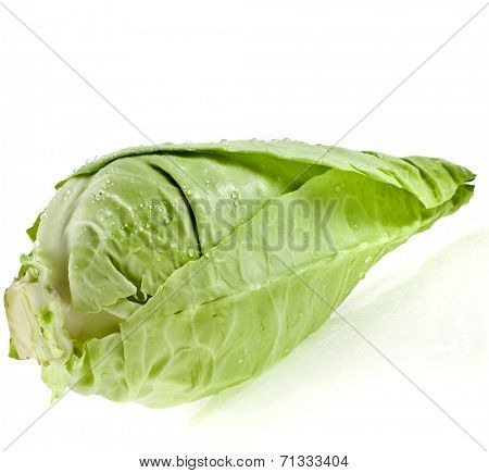 Fresh organic pointed cabbage on white background