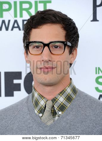 LOS ANGELES - MAR 01:  Andy Samberg arrives to the Film Independent Spirit Awards 2014  on March 01, 2014 in Santa Monica, CA.                