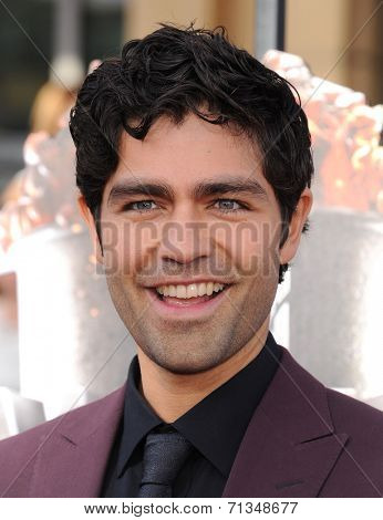 LOS ANGELES - APR 13:  Adrian Grenier arrives to the 2014 MTV Movie Awards  on April 13, 2014 in Los Angeles, CA.                