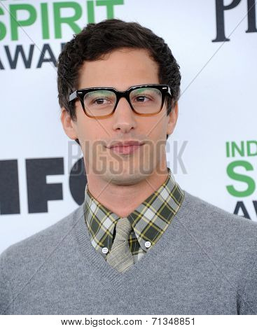 LOS ANGELES - MAR 01:  Andy Samberg arrives to the Film Independent Spirit Awards 2014  on March 01, 2014 in Santa Monica, CA.                