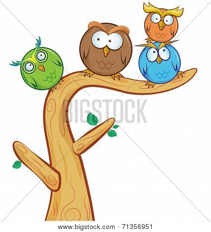 Funny Owl Group Cartoon On Tree