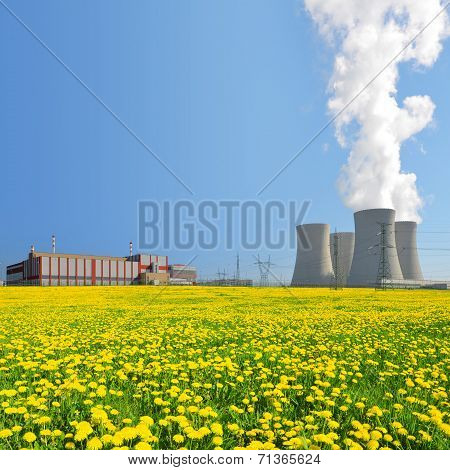 Nuclear power plant