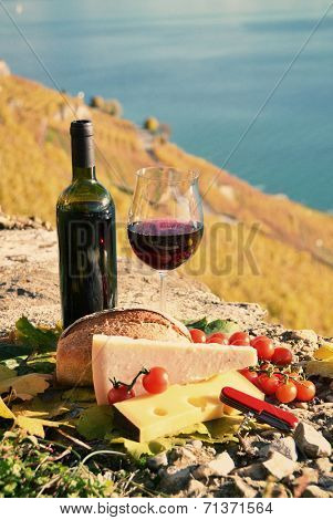 Wine and chese. Lavaux region, Switzerland 