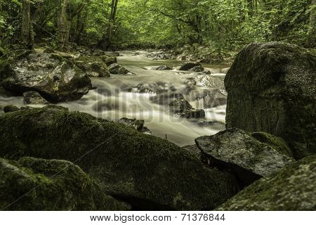 By The River