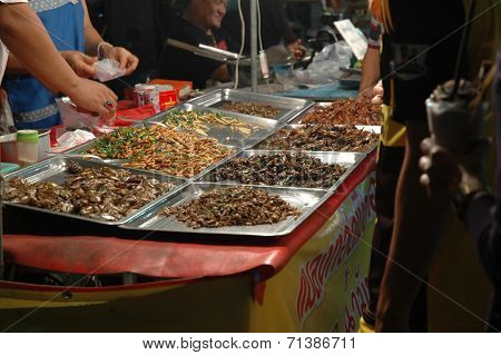 Fried Edible Insects