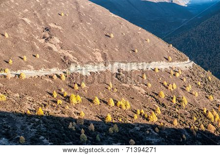Mountain Road
