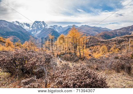 Mountain Autumn Landscape