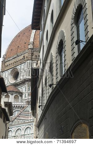 Florence (firenze)