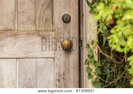 Gateway to the Secret Garden