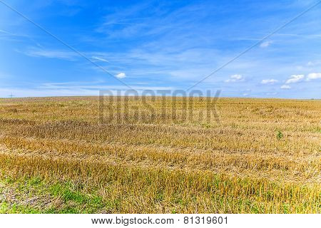 Acres After Harvest Under Blue Sky