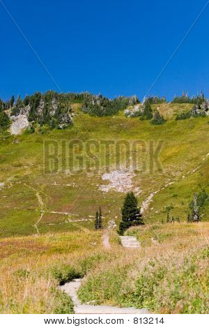 Mt. rainier Nationalpark-Wanderweg