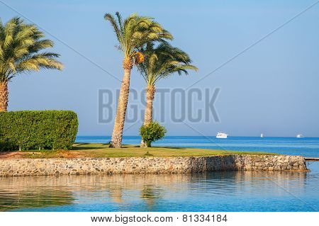 Red Sea Coast. Egypt