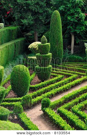 Ozdobny zielony park - ogród botaniczny Funchal, Madera