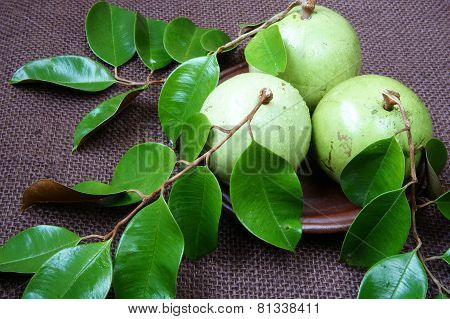 Vietnam Farm Product, Milk Fruit, Star Apple