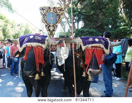 Bull cart procession, Marbella.