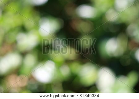 Blur Abstract background