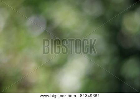Blur Abstract background