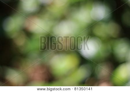 Blur Abstract background