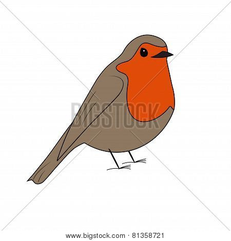 Robin Red Breast