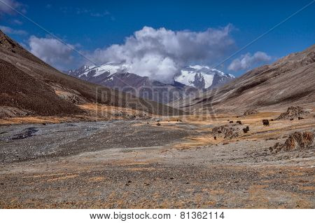 Valley In Tajikistan