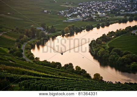 World Famous Sinuosity At The River Mosel Near Trittenheim With Vineyards At The Edge