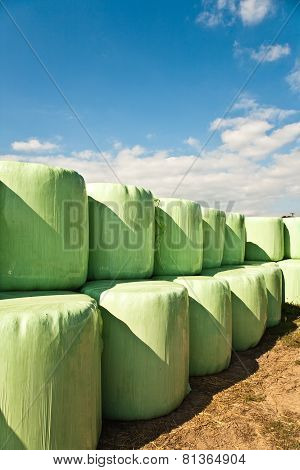 Bale Of Straw Infold In Plastic Film (foil) To Keep Dry In Automn In Intensive Colors