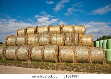 Bale Of Straw Infold In Plastic Film (foil) To Keep Dry In Automn In Intensive Colors