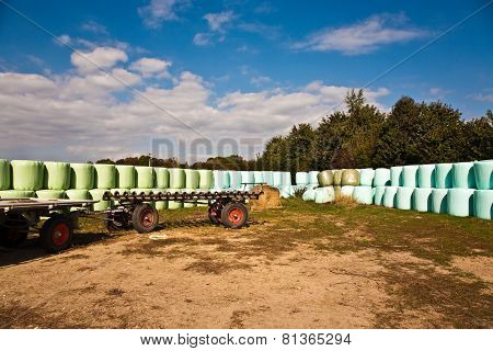 Bale Of Straw Infold In Plastic Film (foil) To Keep Dry In Automn In Intensive Colors