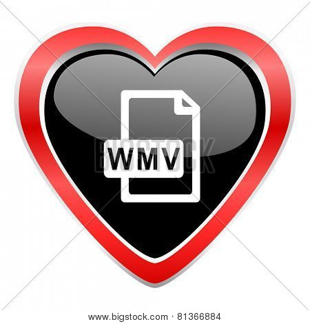 wmv file icon  