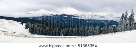 Panorama Of Winter Mountains
