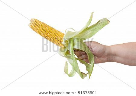 corn in hand