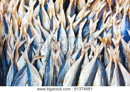 Stockfish At The Market