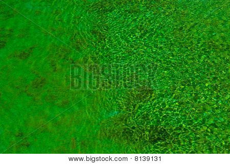 Green Clear Water