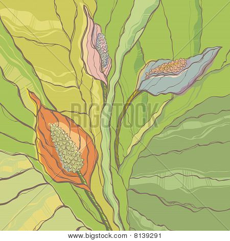 Tre callas
