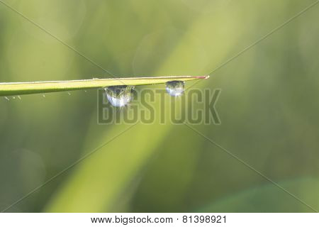 Drops Background