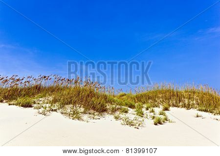 Grass On A Beach During Stormy Season