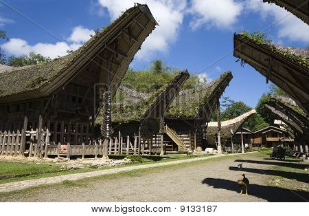 Toraja Dorf