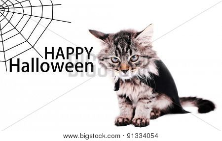 Cat in black cloak, isolated on white