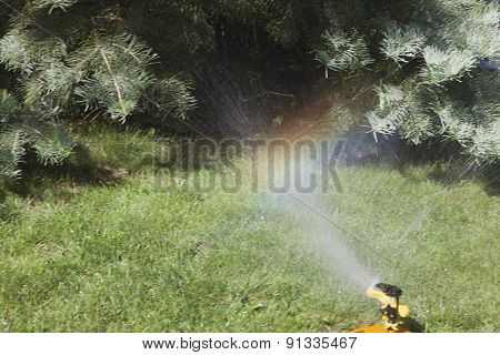 Device Of Irrigation Of Lawn.